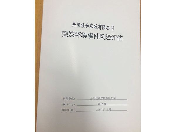 风险评估